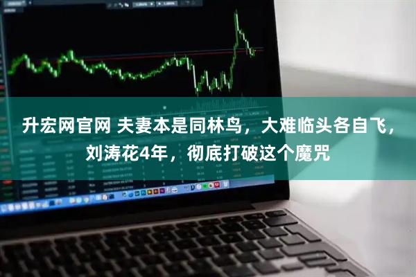 升宏网官网 夫妻本是同林鸟，大难临头各自飞，刘涛花4年，彻底打破这个魔咒