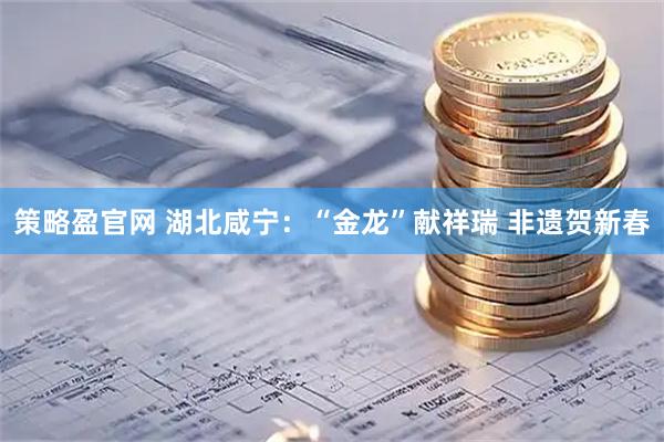 策略盈官网 湖北咸宁：“金龙”献祥瑞 非遗贺新春