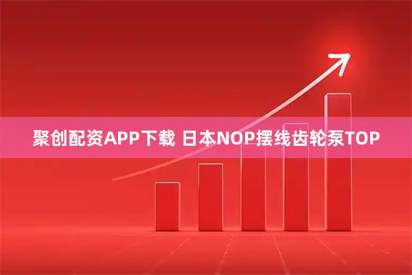 聚创配资APP下载 日本NOP摆线齿轮泵TOP